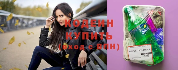 дживик Каменка