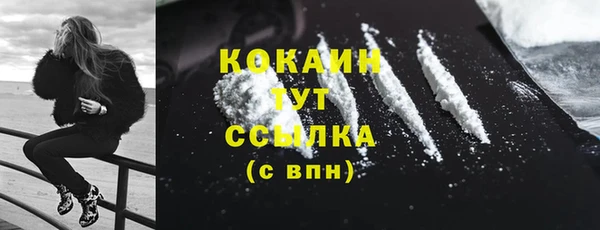 дживик Каменка
