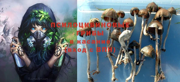 меф Каменногорск